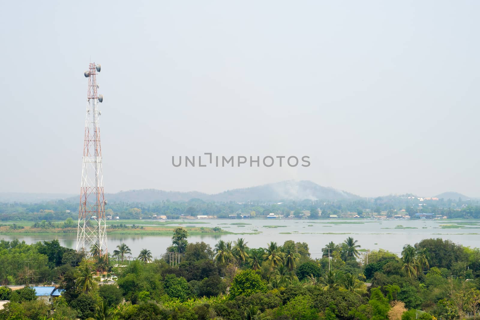 Communication Pole Stand among Nature