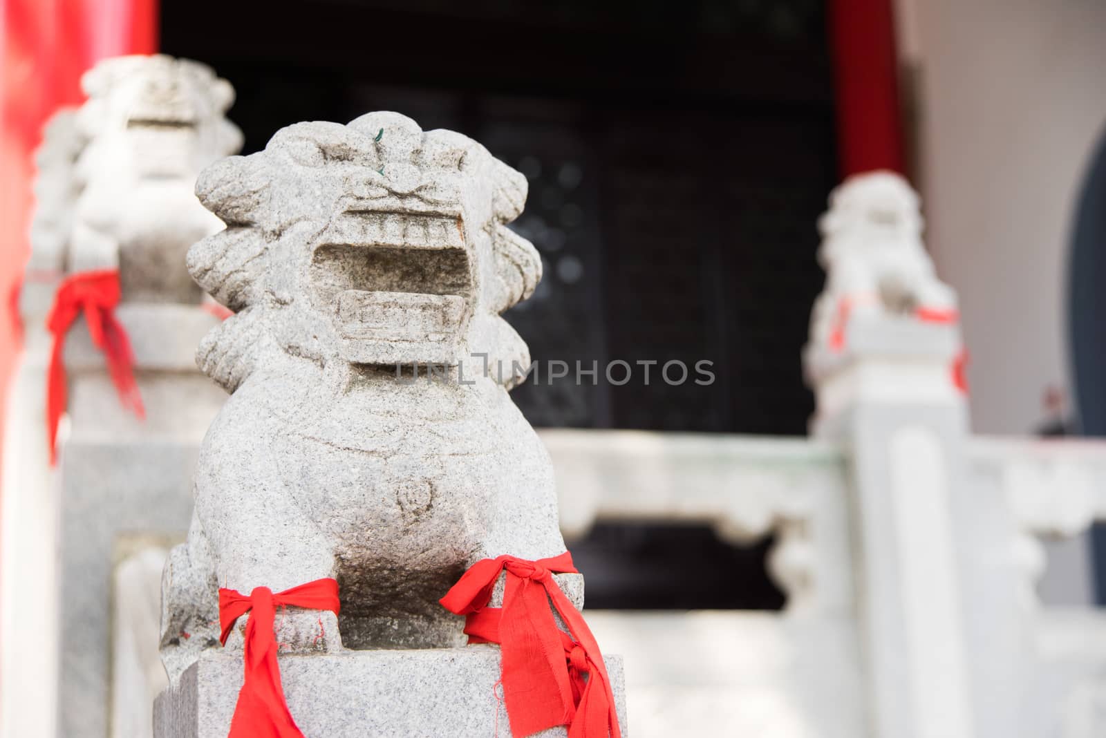 Chinese Imperial Lion, Guardian Lion with a red fabric in their legs horizontal shot