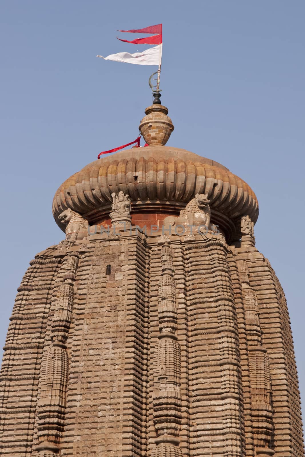 Main tower of the Lingaraja Hindu Temple. Ornately carved building with flags flying from the top. Bhubaneswar Orissa India. 11th Century AD