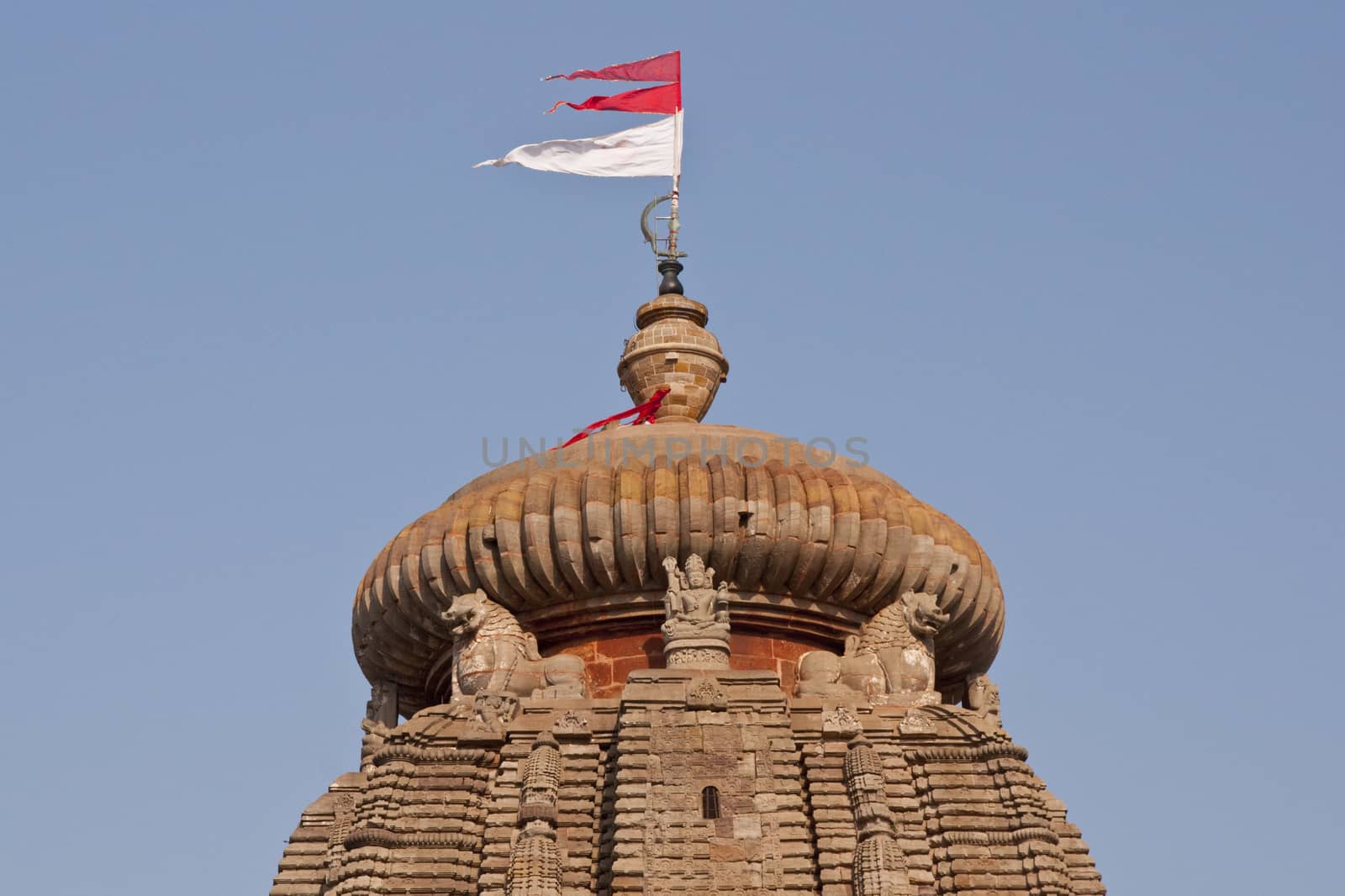 Main tower of the Lingaraja Hindu Temple. Ornately carved building with flags flying from the top. Bhubaneswar Orissa India. 11th Century AD