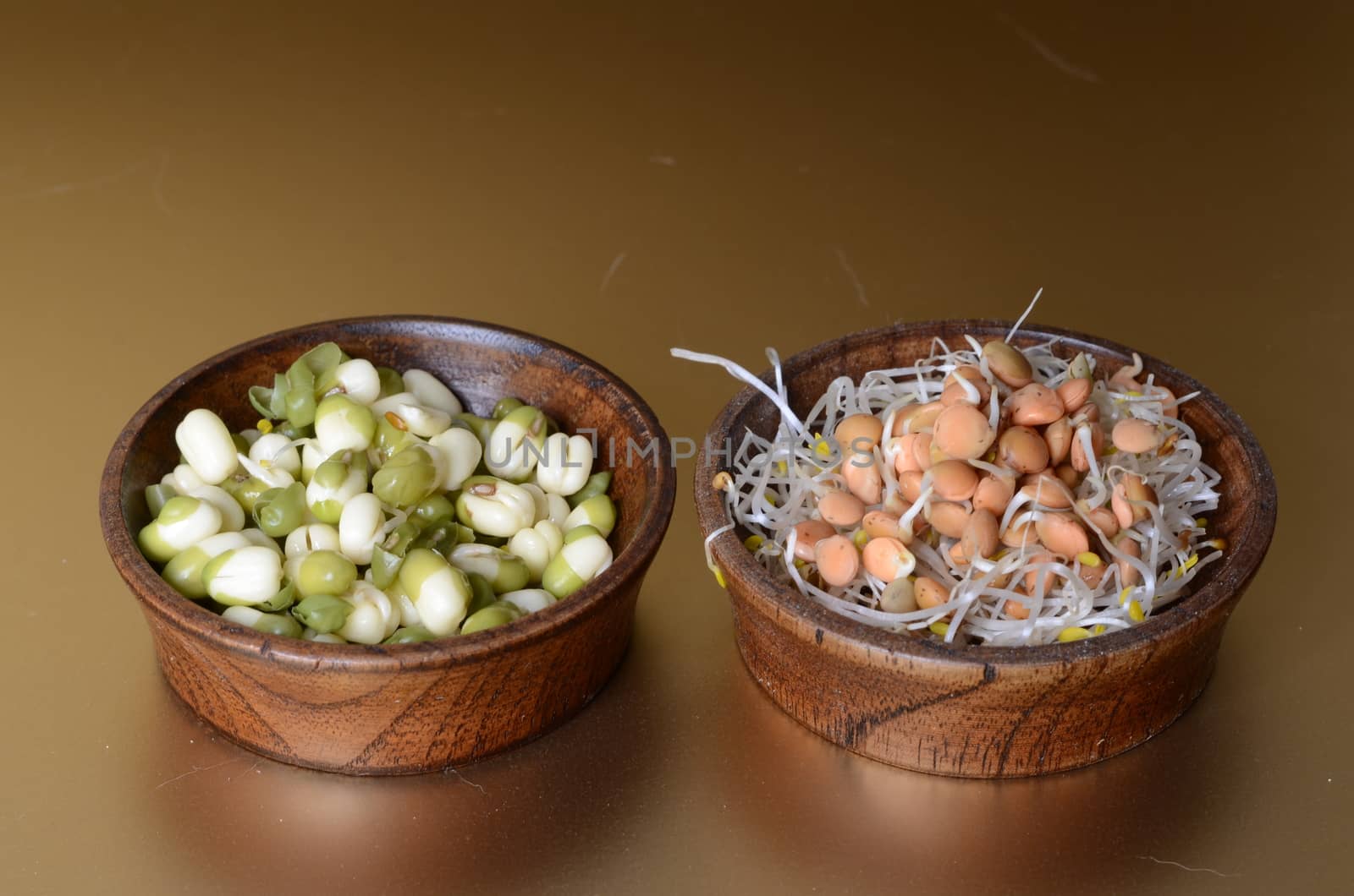 sprouts