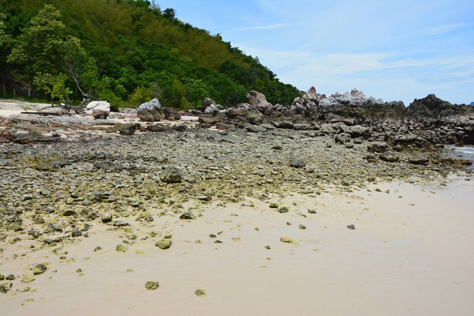 seascape of koh larn thailand in summer