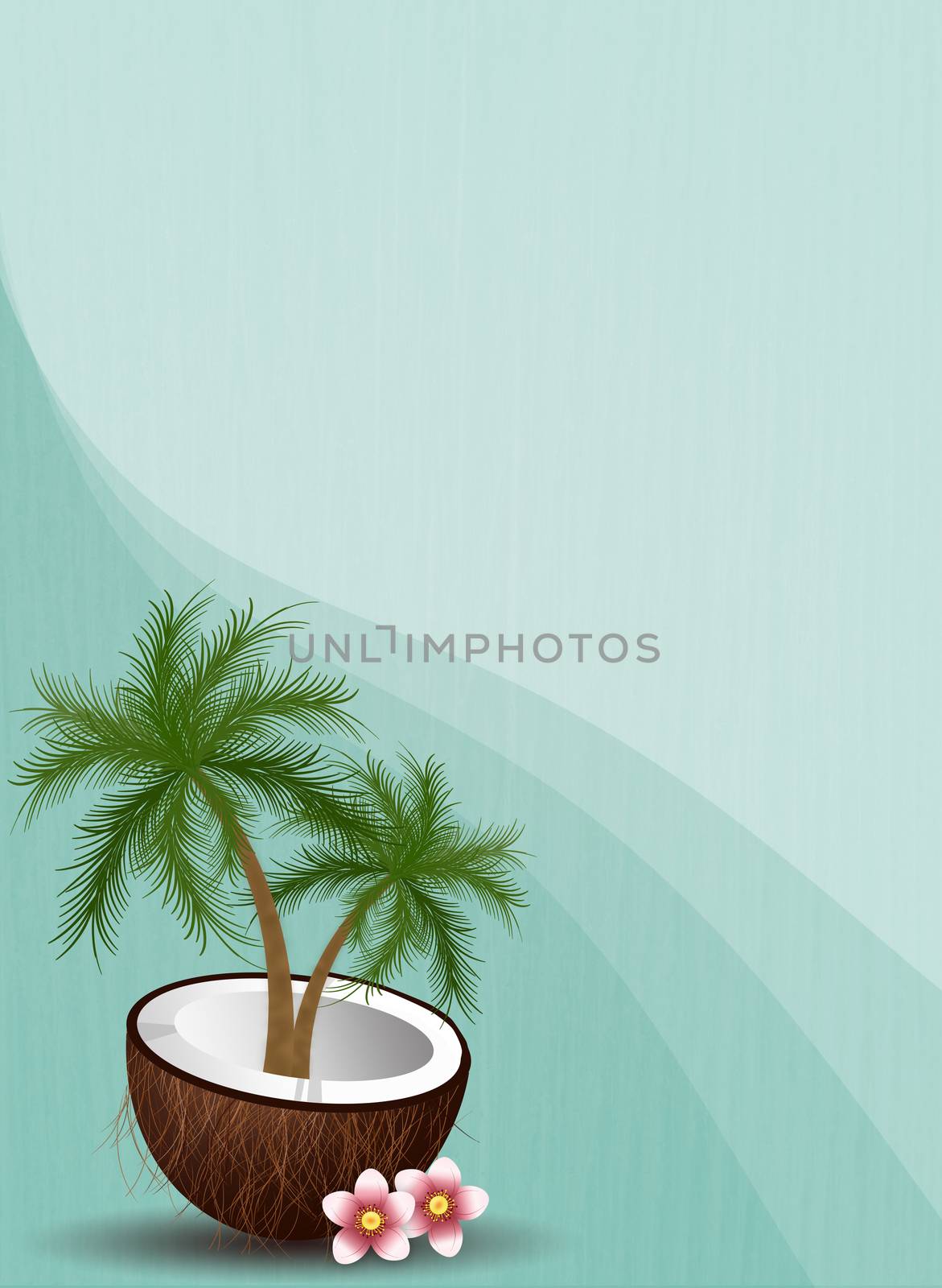 illustration of Coconut for summertime
