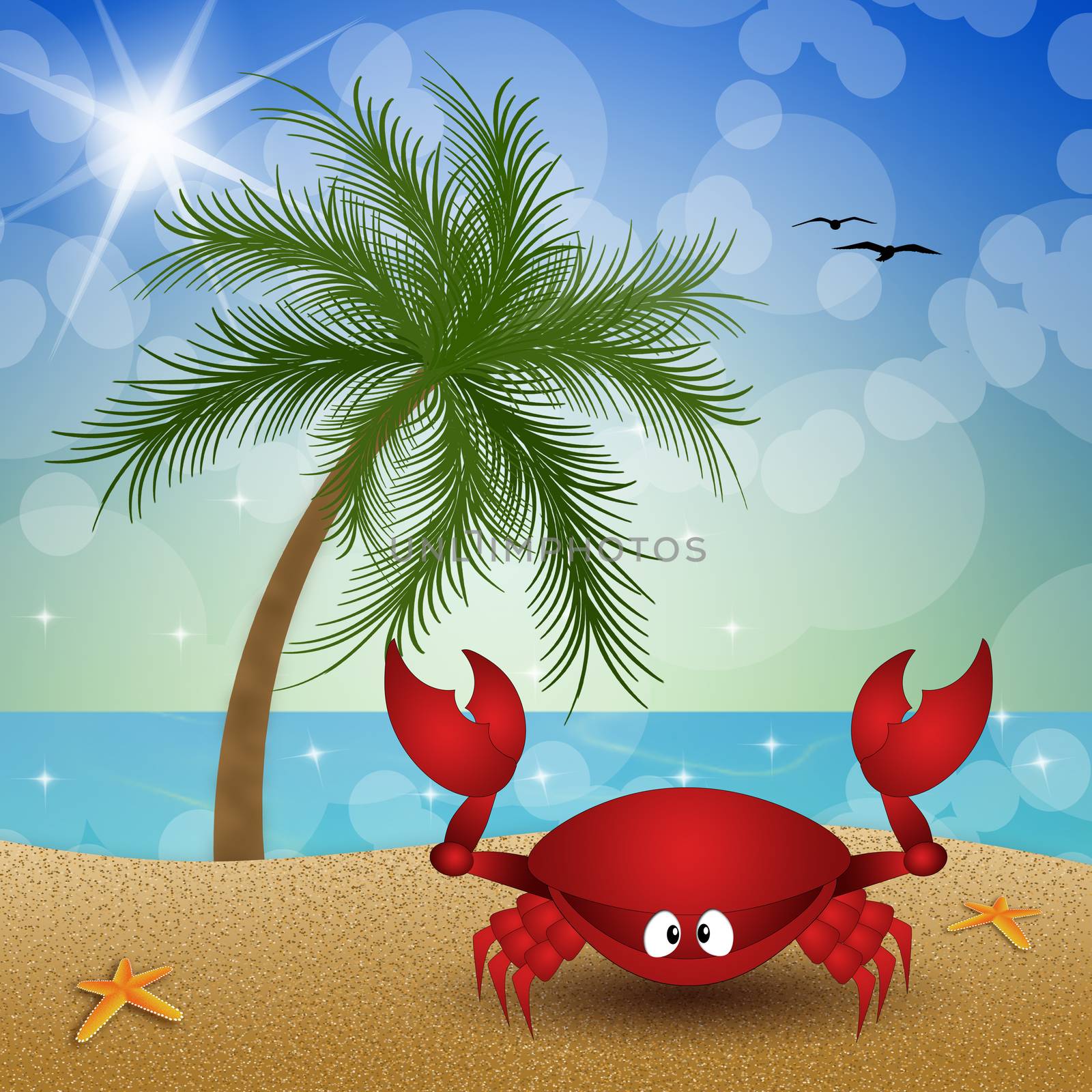 Crab on the beach by sognolucido