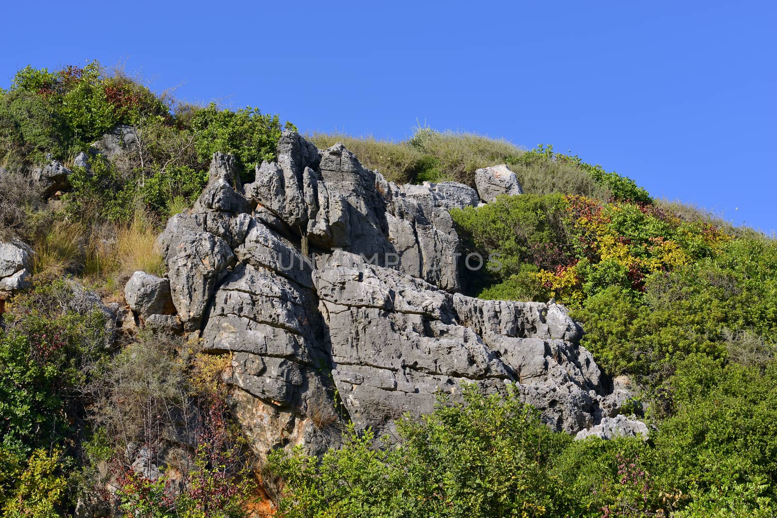 Mountain with trees against the blue sky