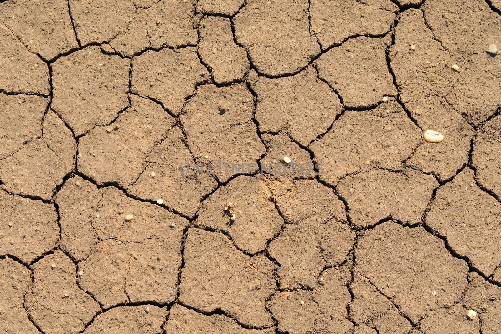Cracked brown ground surface by cherezoff