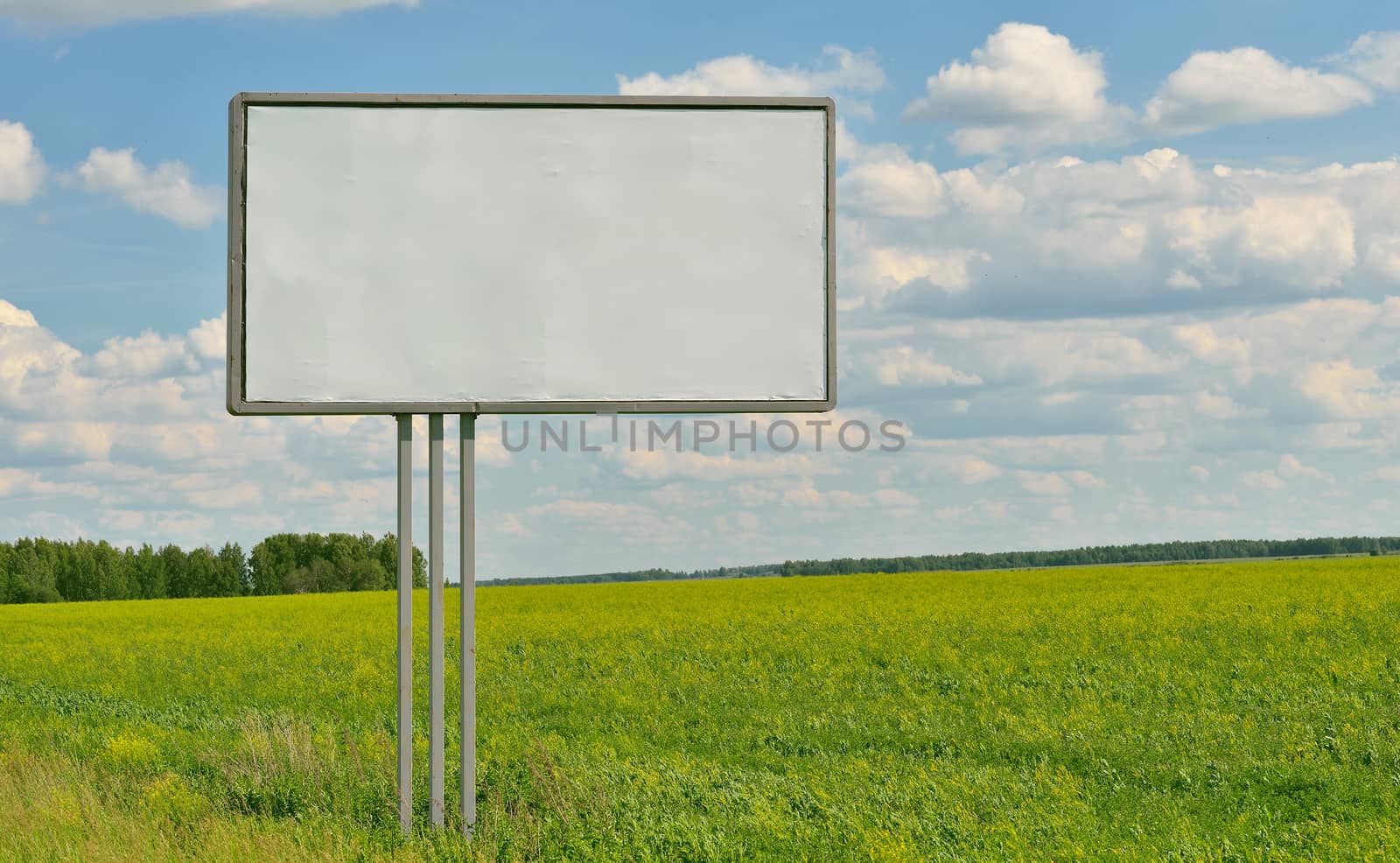Large empty billboard on a background of grass, forest and blue sky