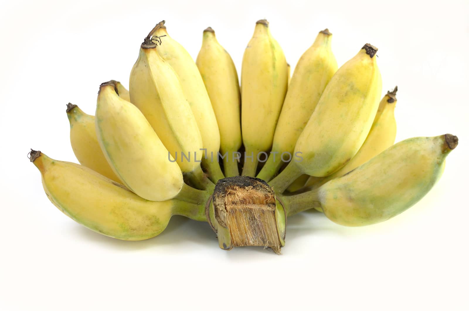 Banana isolated on white background