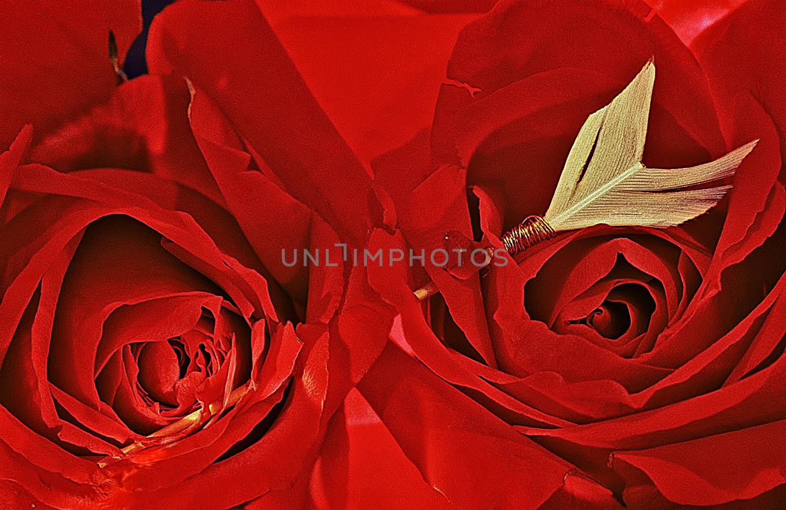 Red Roses With Arrow 088. by aLunaBlue