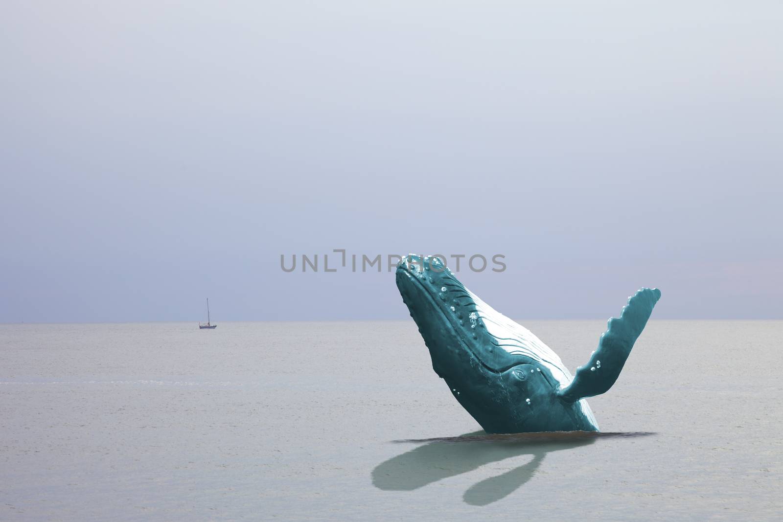 Huge whale at sea with little ship