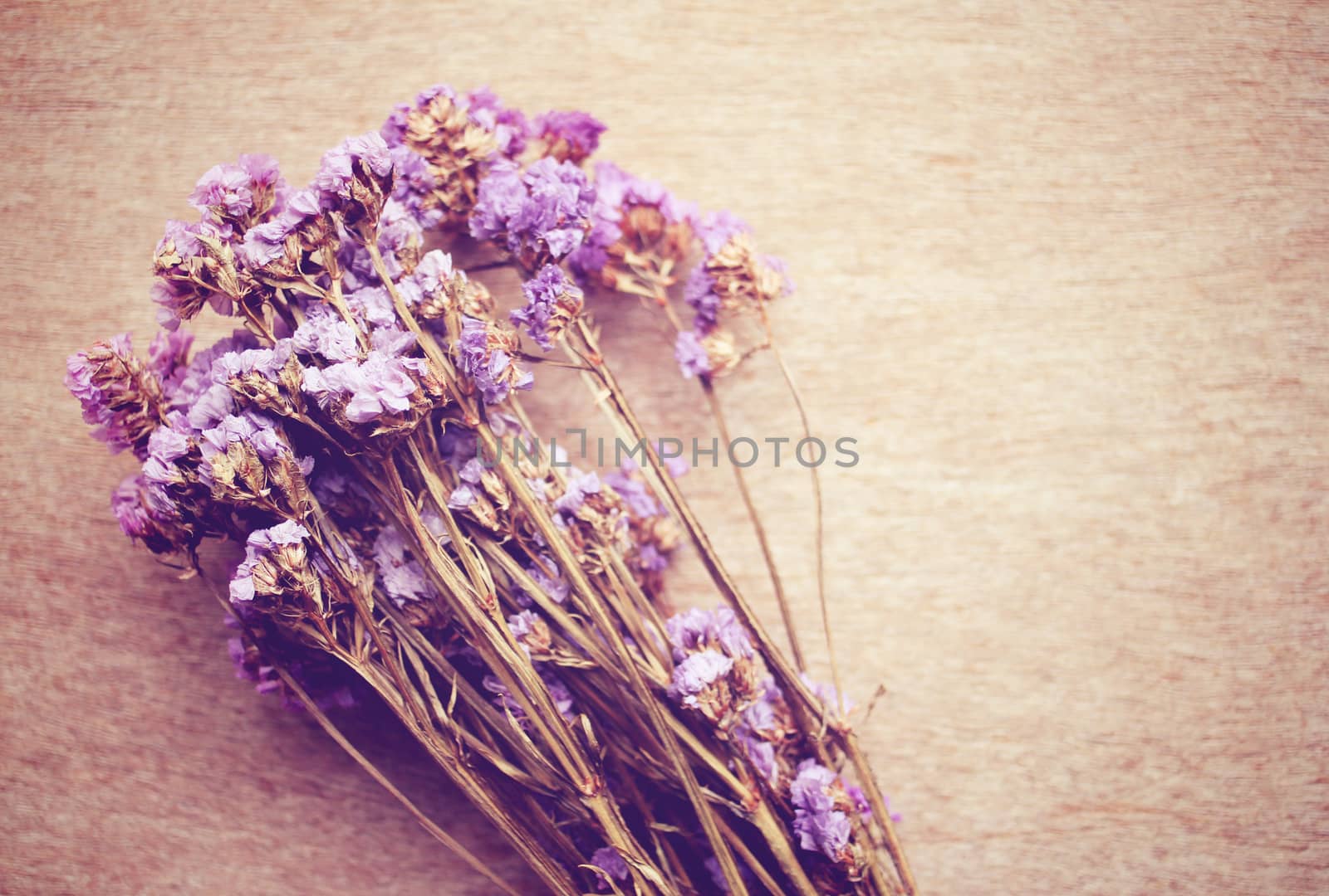 Statice flowers on wooden background with retro filter effect