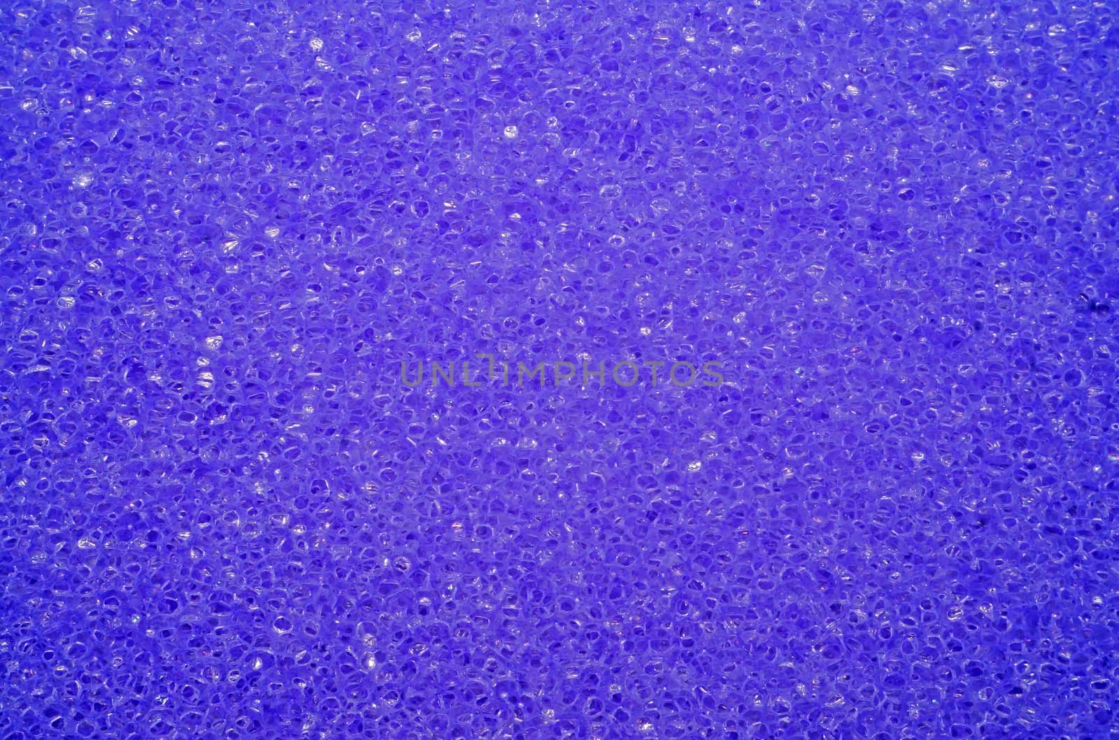 Porous texture of sponge purple                               