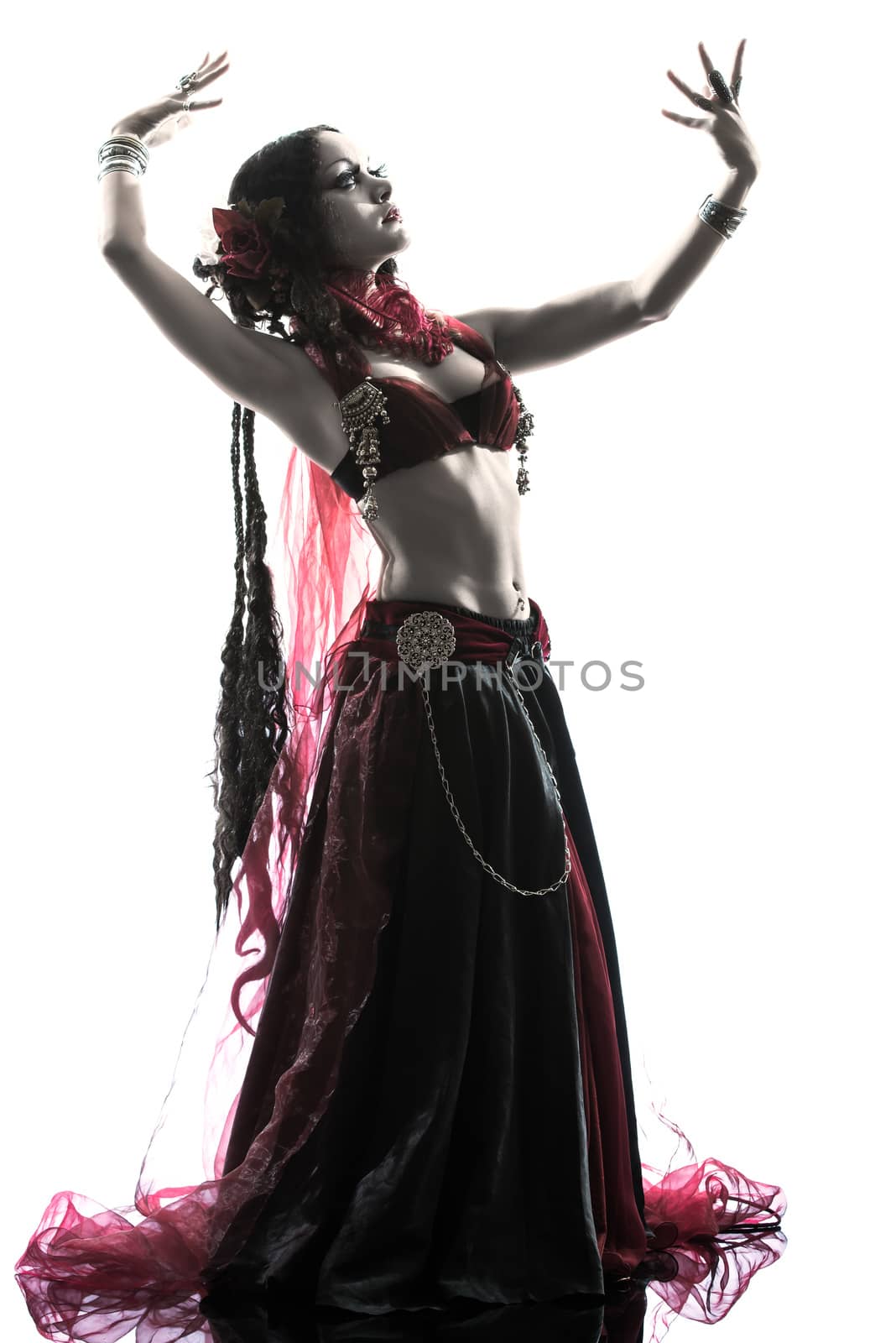 one arabic woman belly dancer dancing silhouette studio isolated on white background