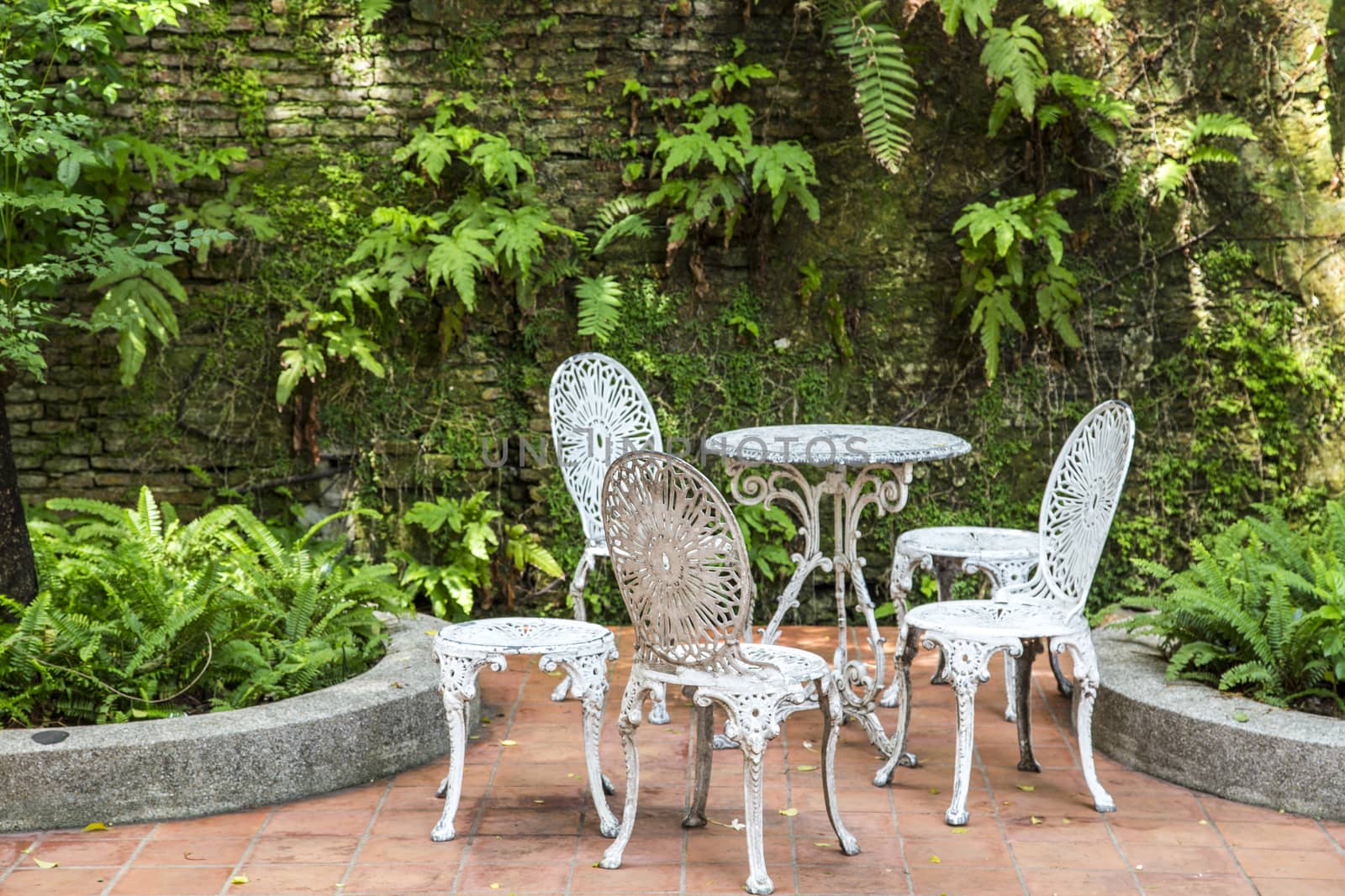 White vintage chairs in the garden