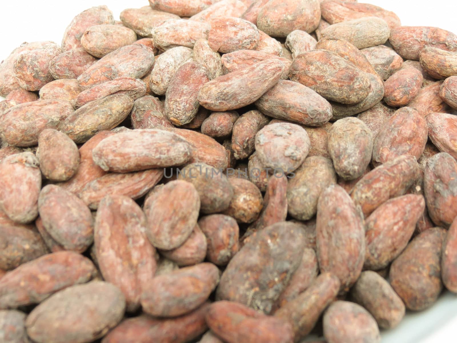 cocoa beans (theobroma cacao) from Madagascar