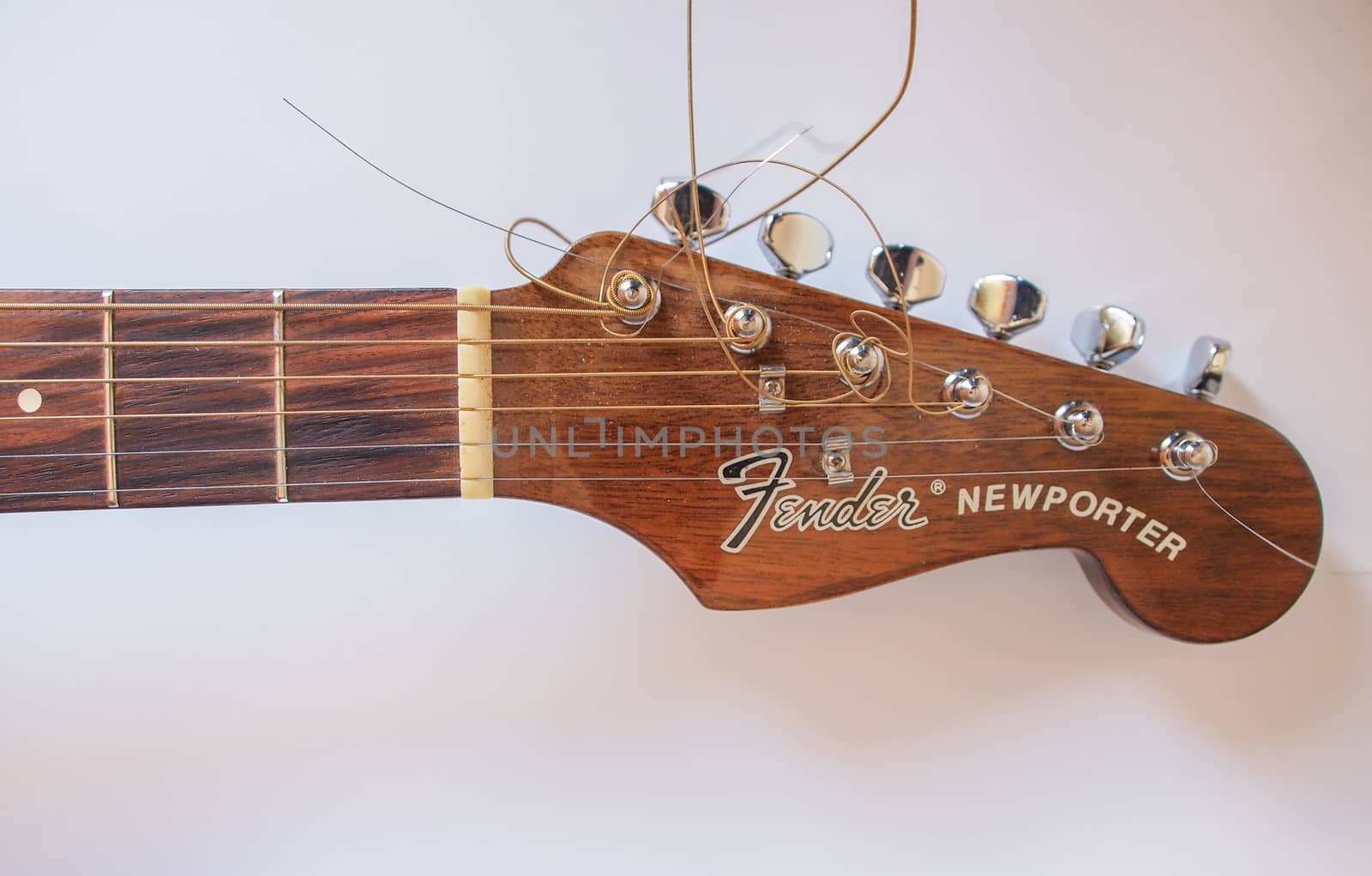 Fender guitar by paolo77