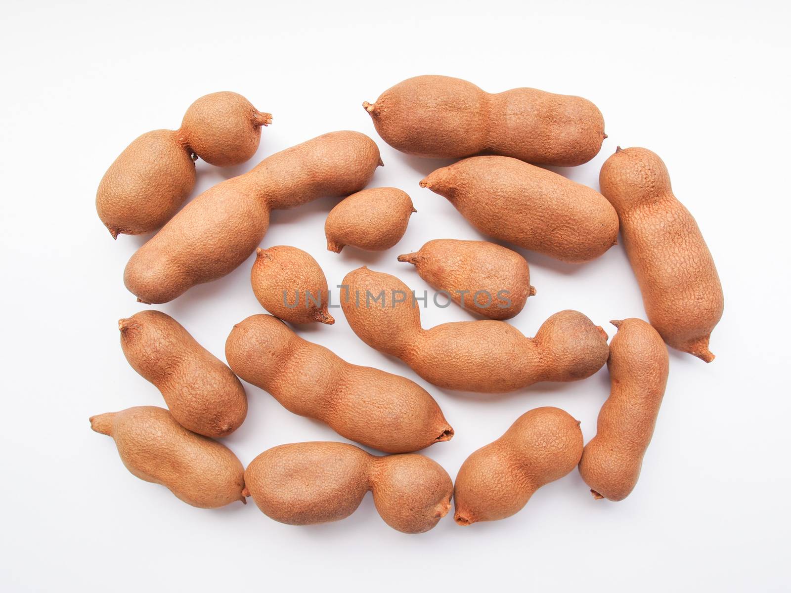 Raw tamarind fruits (tamar hindi - Tamarindus indica)