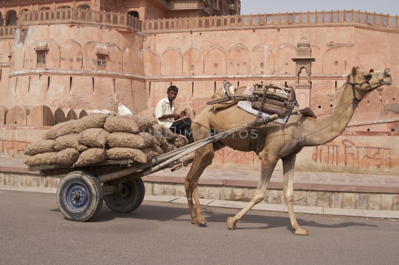 Camel cart loaded with sacks passing Junagarh Fort in Bikaner, Rajasthan, India