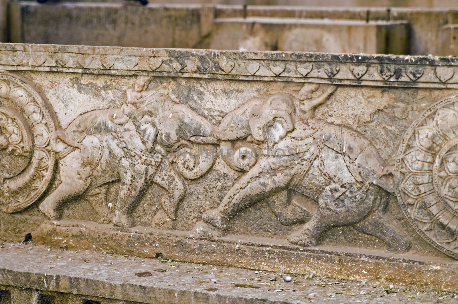 Carving of elephants fighting decorating the walls of the Rani-ki Baoli step-well in Bundi, India