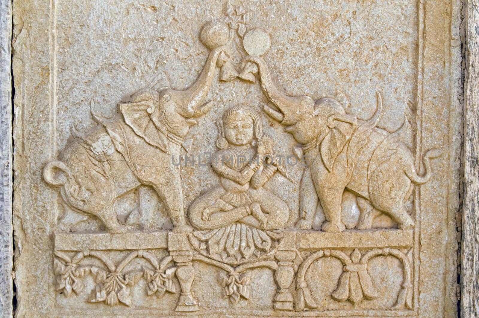Carving of elephants and a woman decorating the walls of the Rani-ki Baoli step-well in Bundi, India