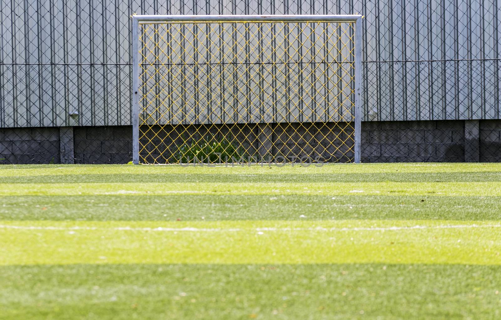 Goal soccer green field background