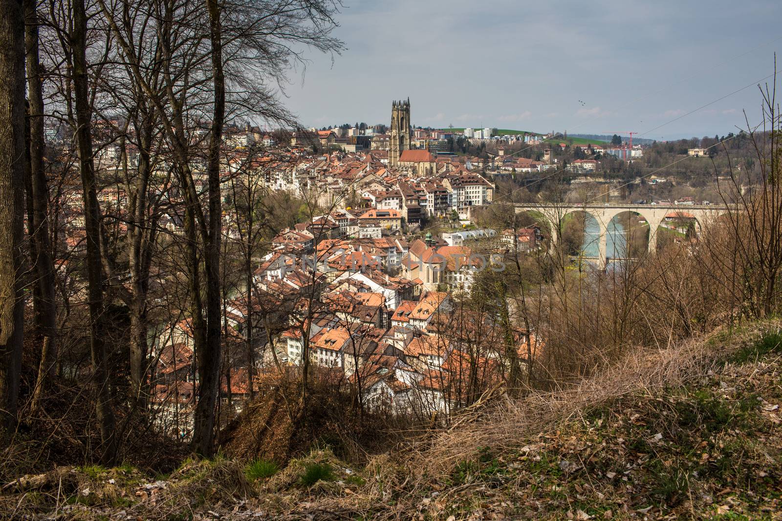 View of Fribourg, Switzerland by viktor_cap