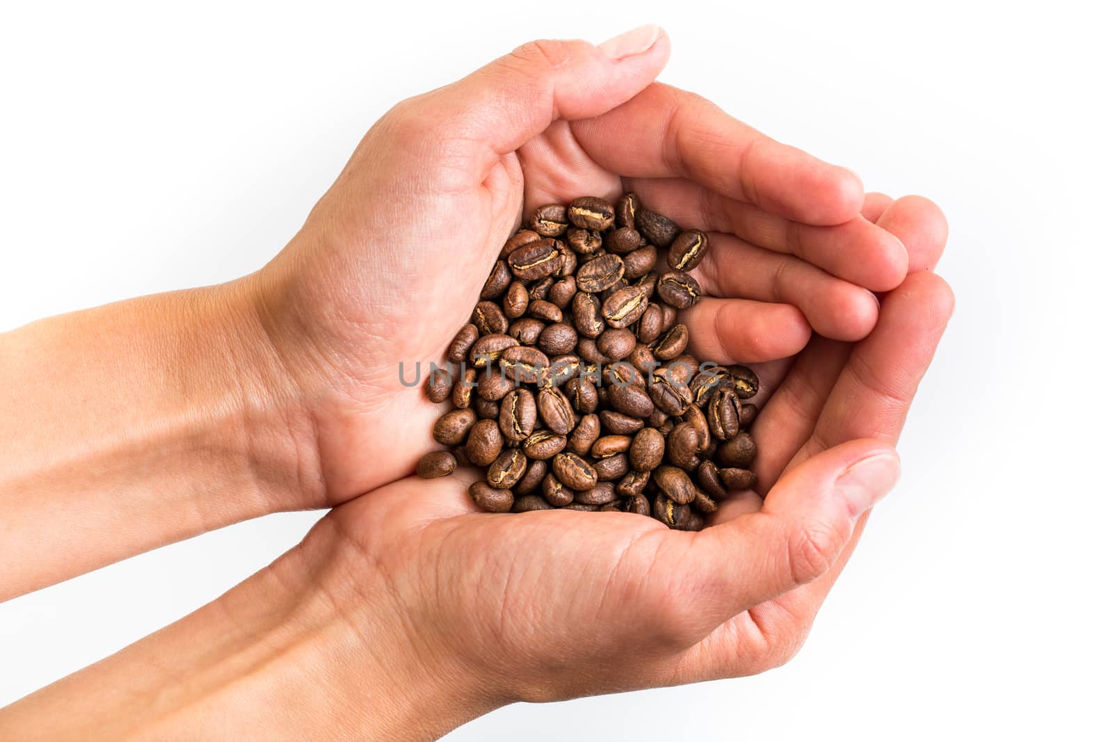 Young woman's hands holding coffee beans by viktor_cap