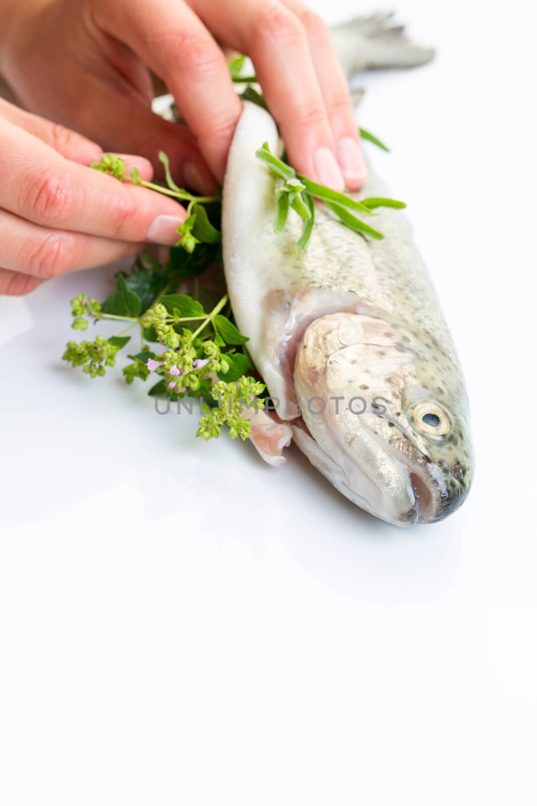 Female chef's hands stuffing a freshly cought trout with fresh herbs