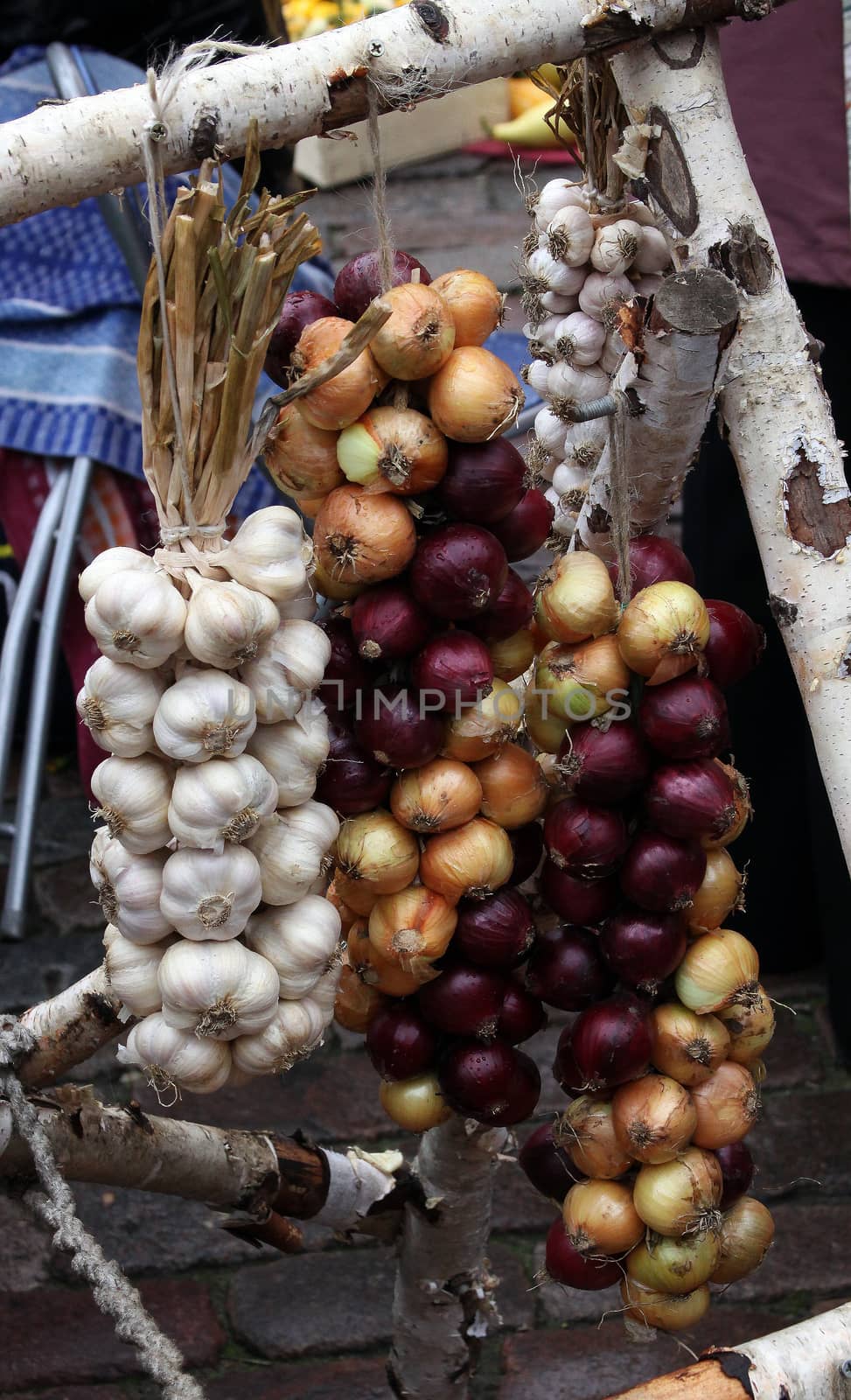 Autumn trade fair.Garlic and onions by Maris