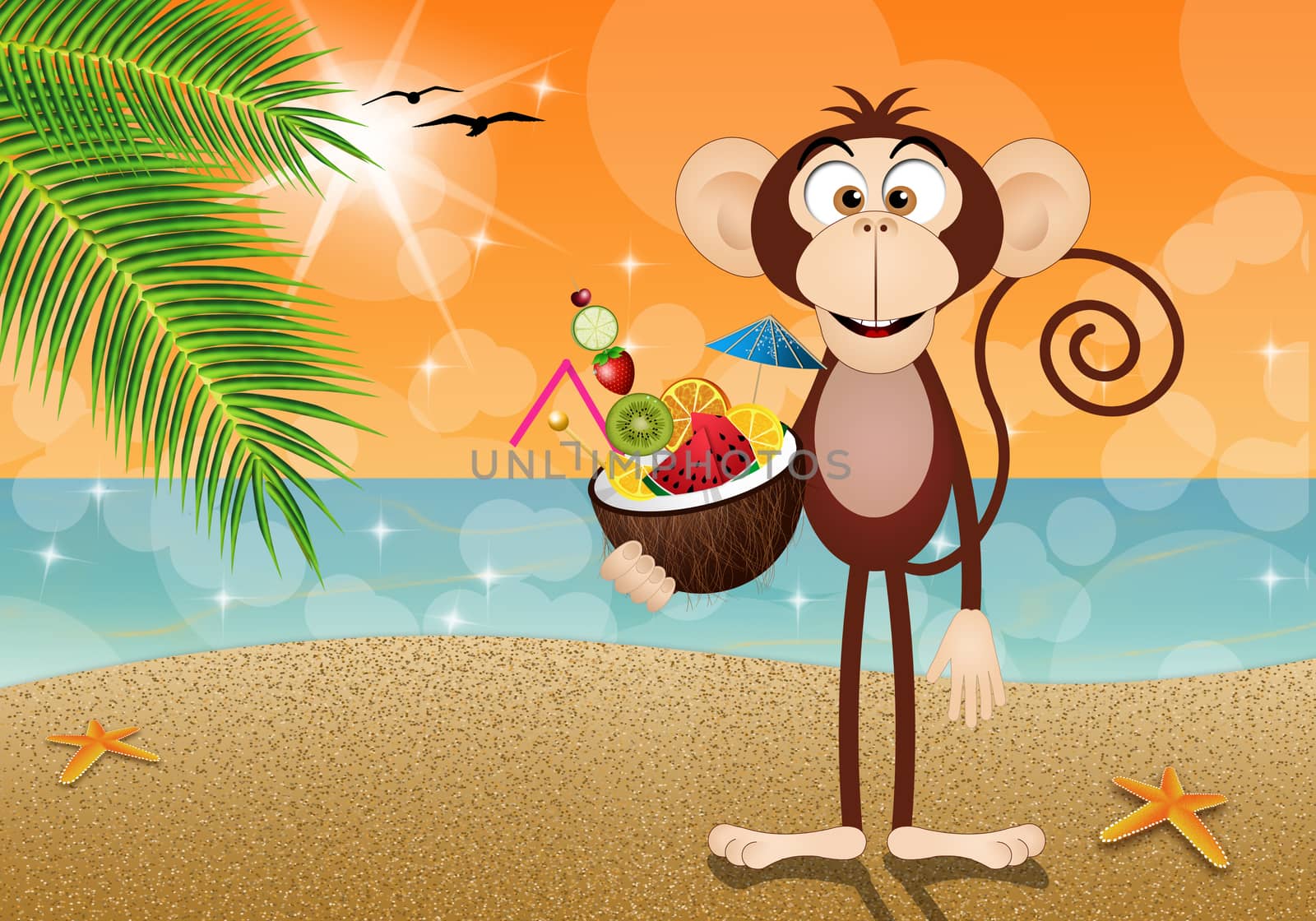 Monkey with coconut fruits on the beach