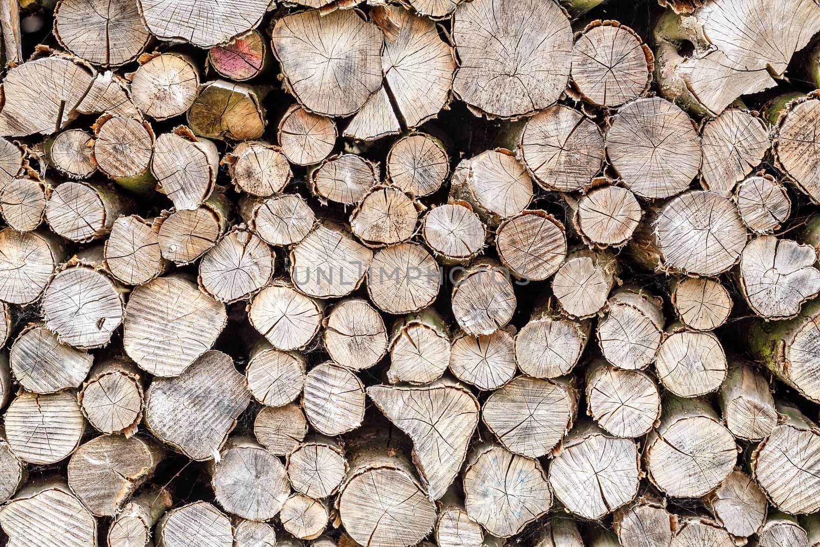 lined up pile of wood for winter heating