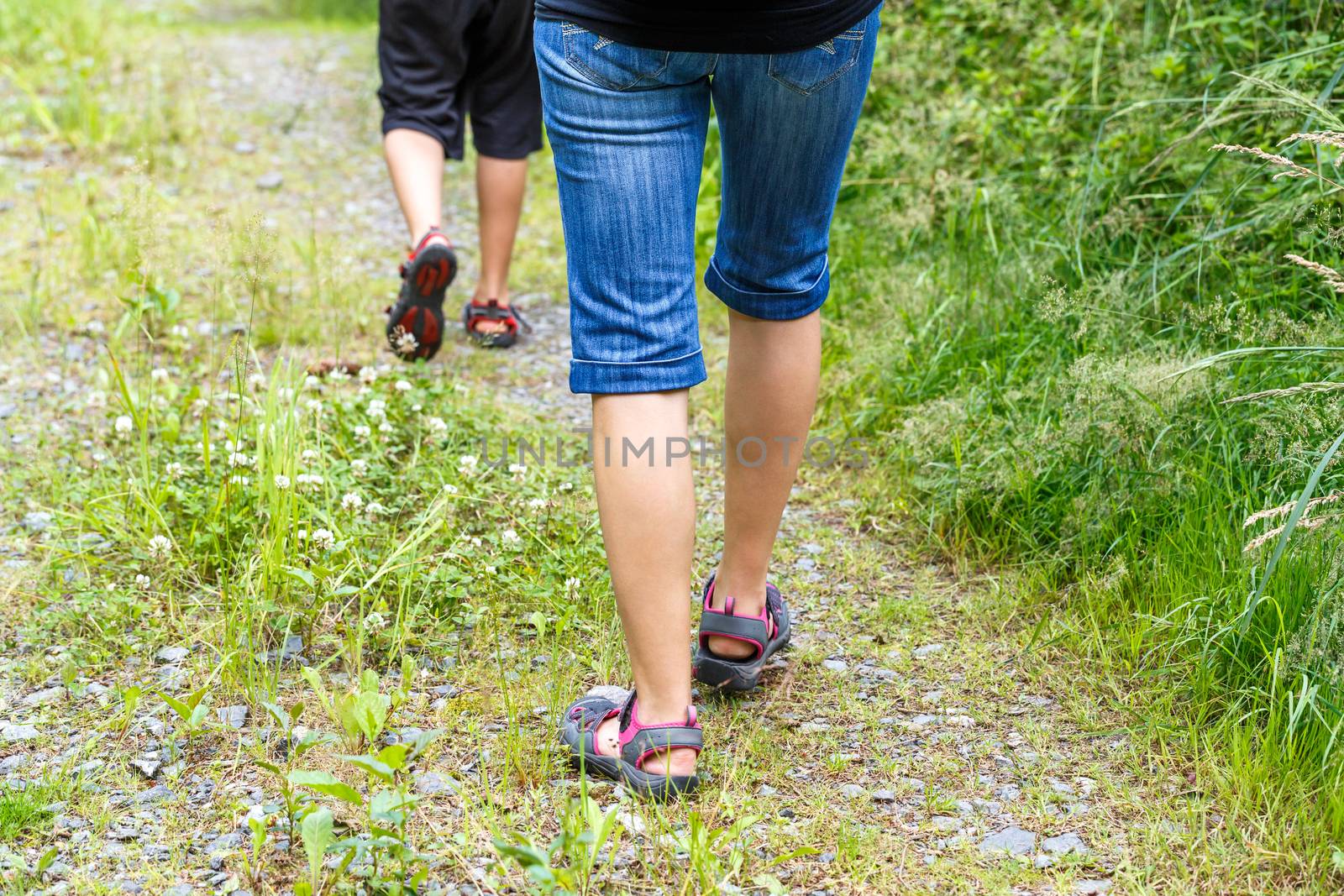 Woman walking with son cross country and trail in summer forest, rear view