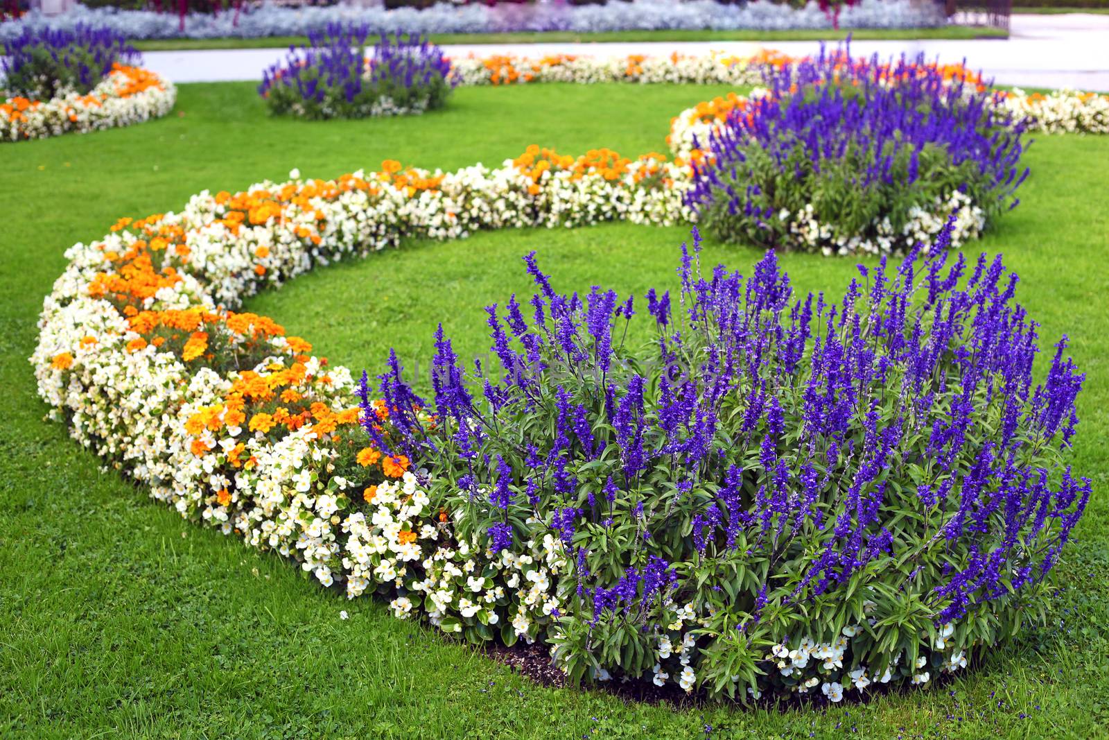 Beautiful flower garden background in Vienna city