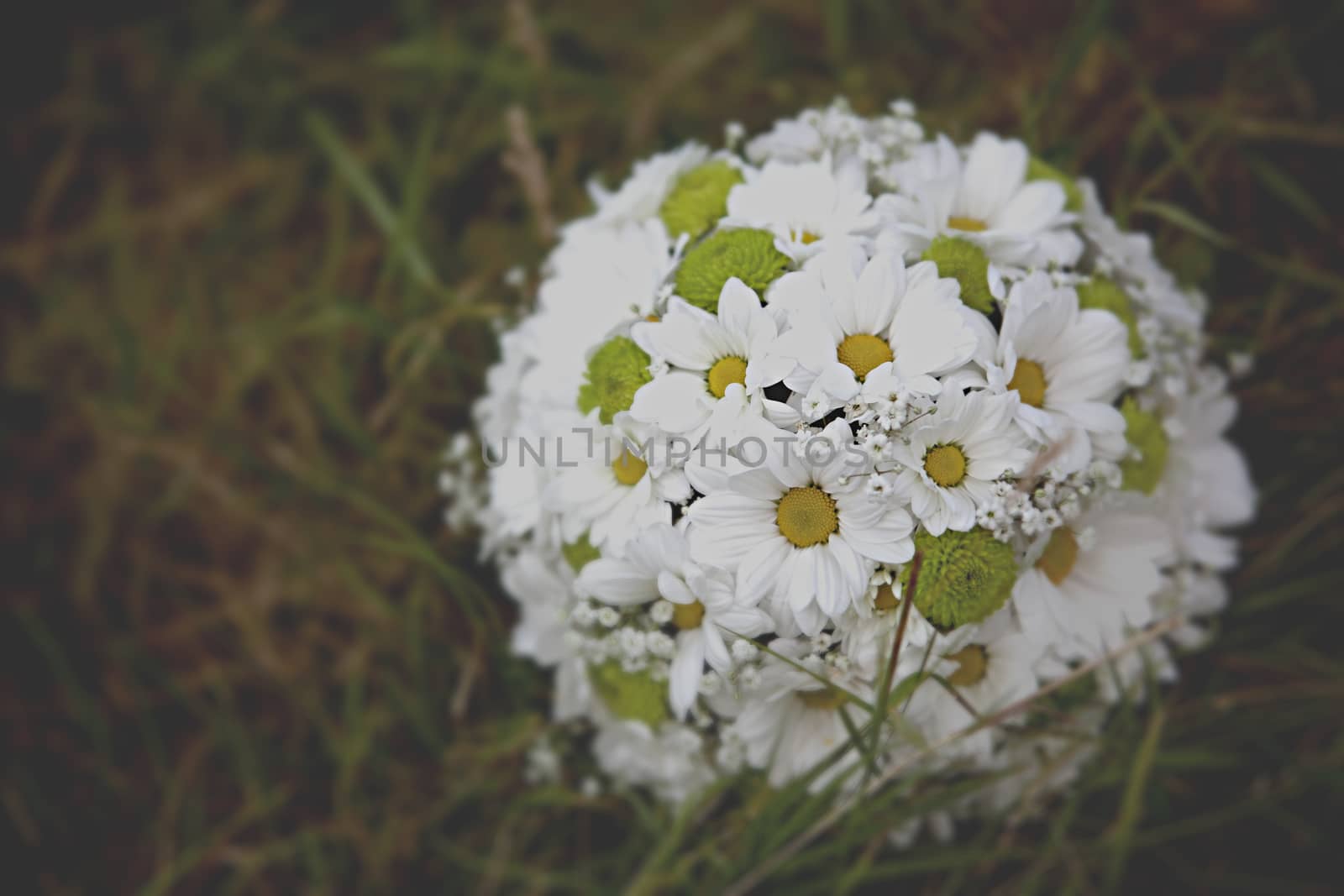 beautiful wedding flowers bouquet on the green grass