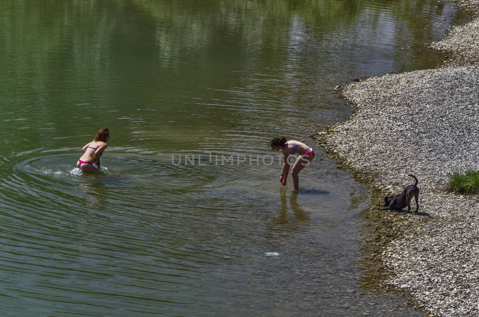 Girsl playiang on the river with their dog