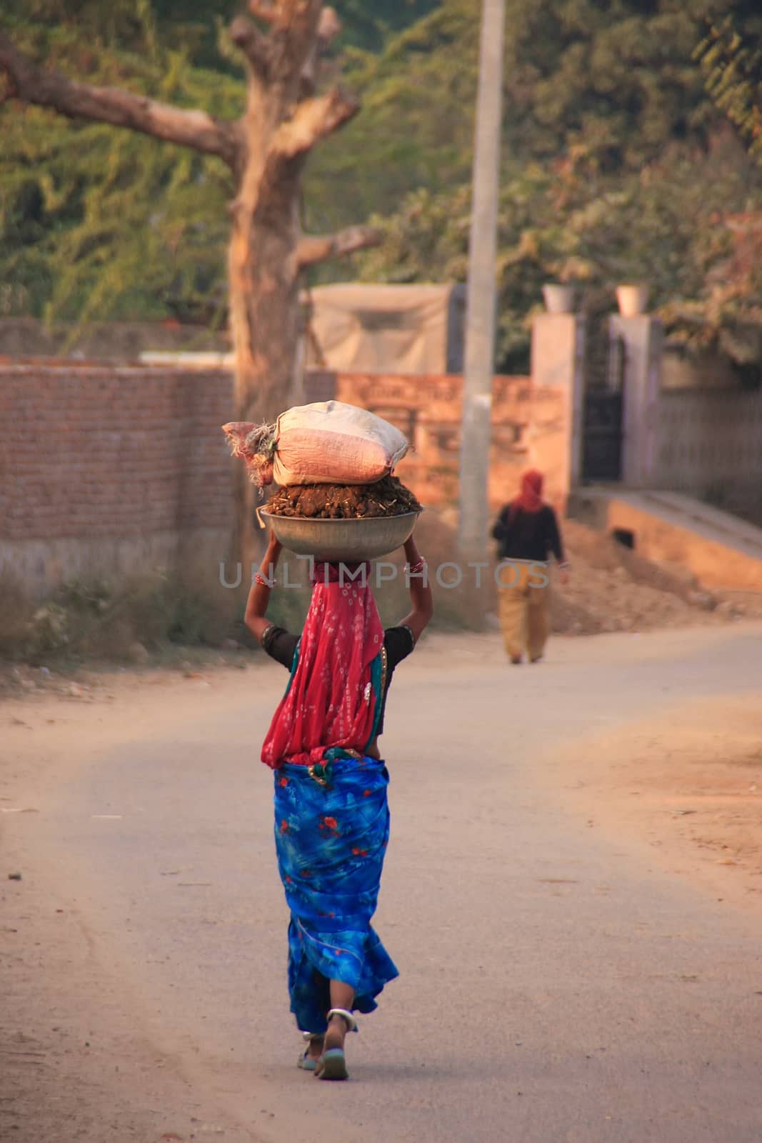 Local woman in traditional dress carrying bundle on her head, Sawai Madhopur, Rajasthan, India