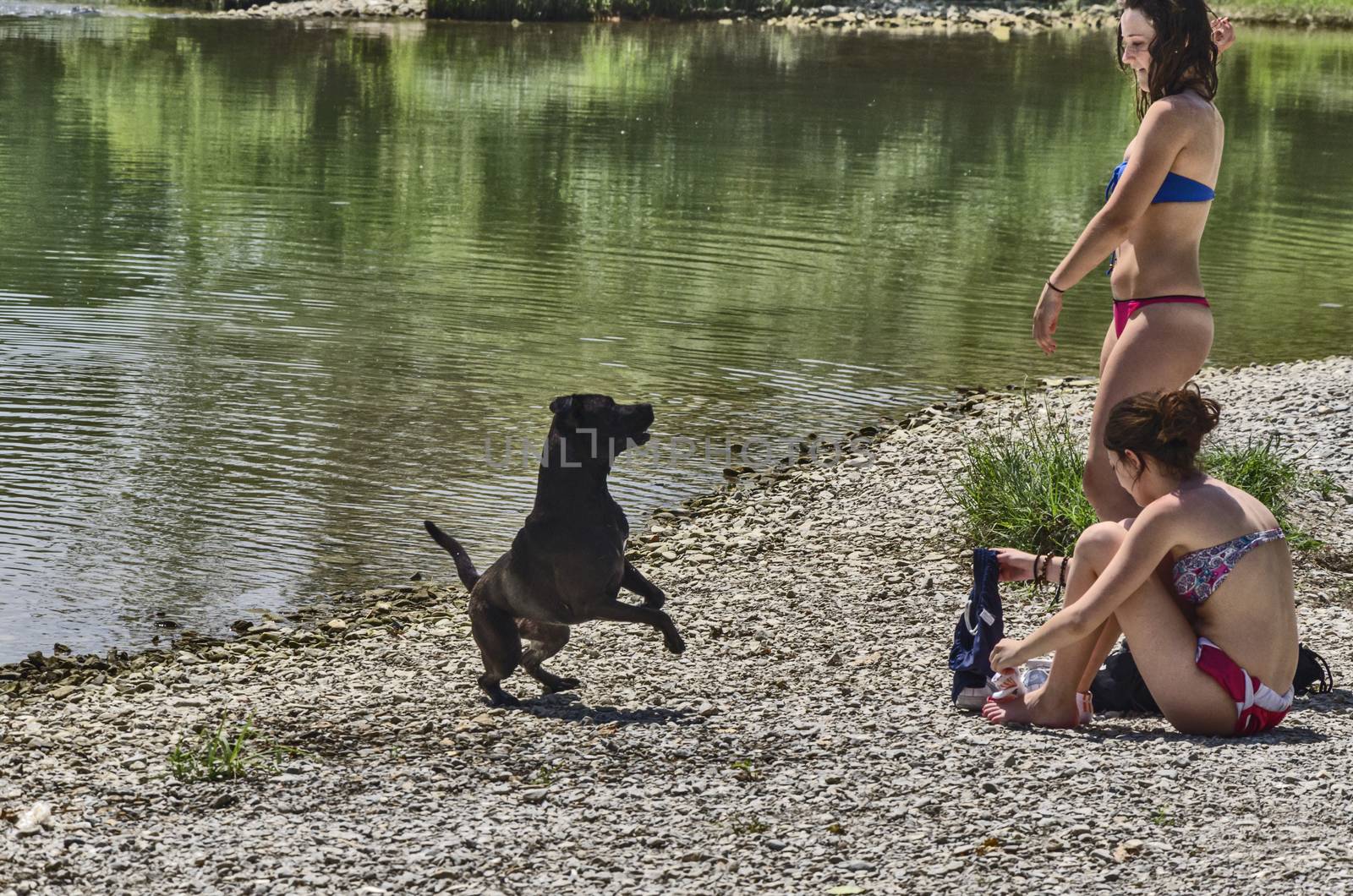 Girsl playiang on the river with their dog