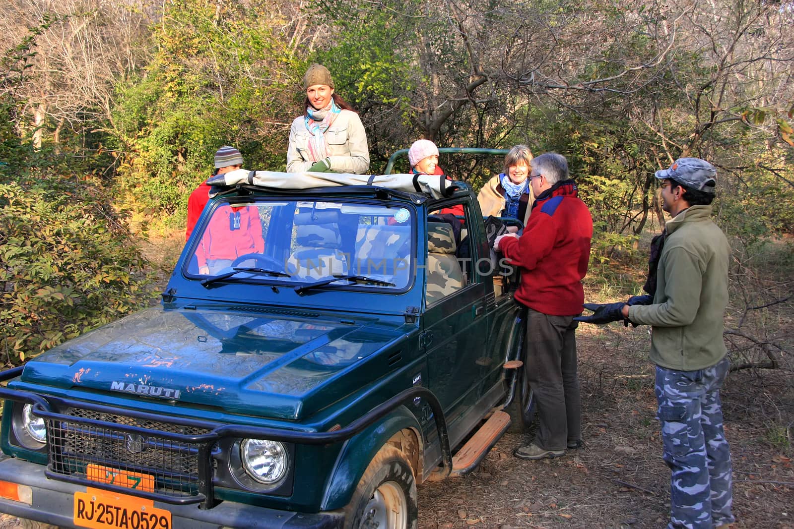 Tourists going on a tiger safari, Ranthambore National Park, Ind by donya_nedomam