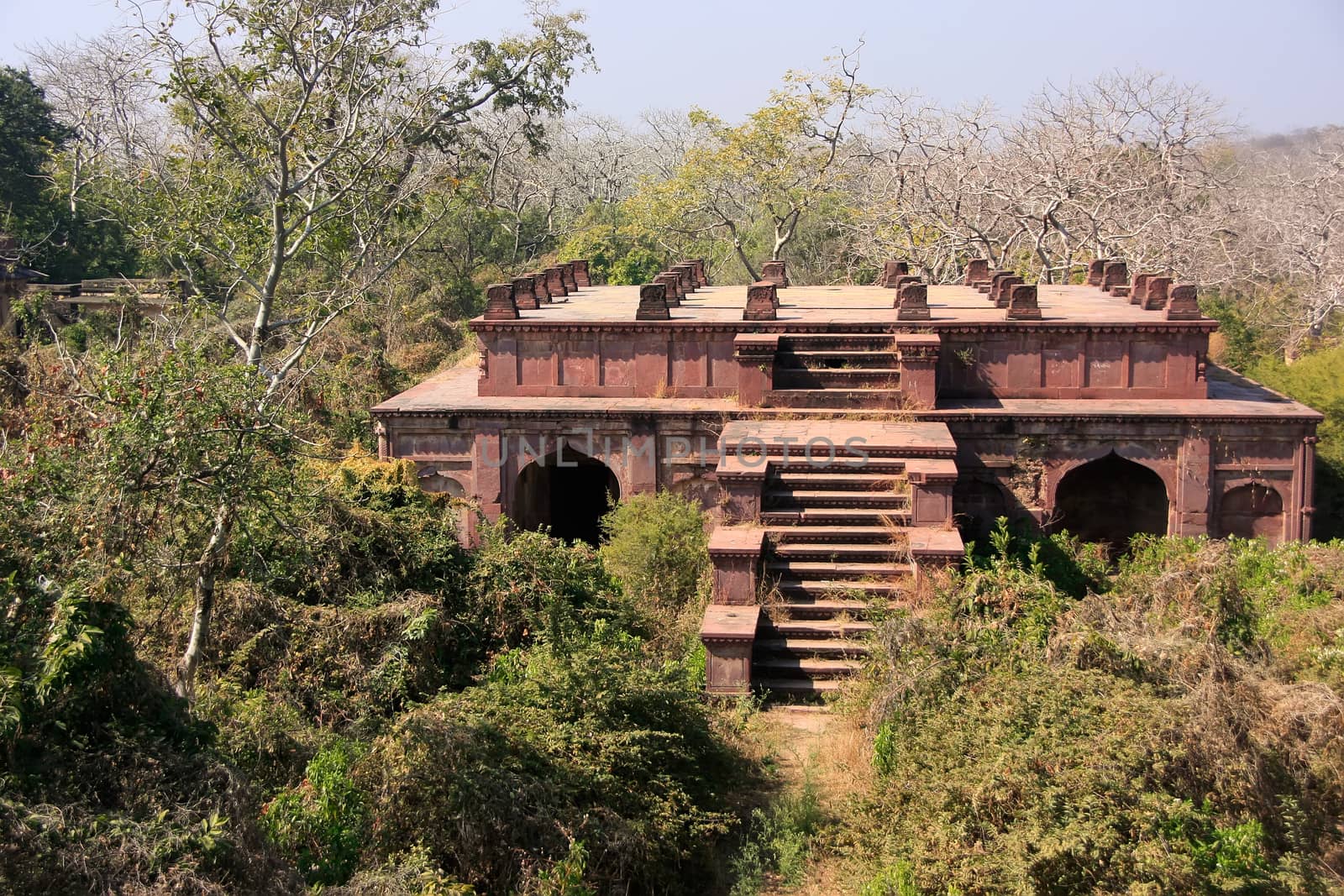 Old building surrounded by trees, Ranthambore Fort, Rajasthan, India