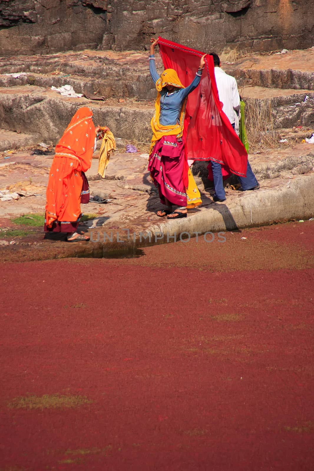 Indian women in colorful saris standing at the edge of red pond, Ranthambore Fort, Rajasthan, India