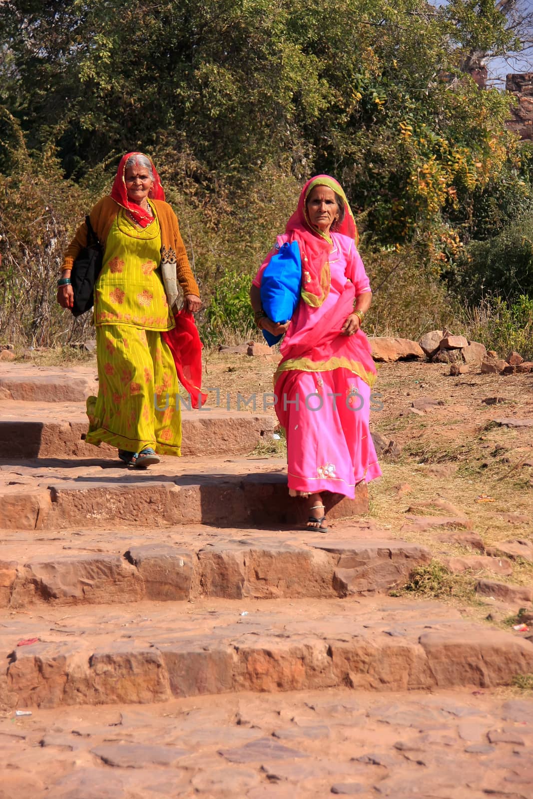 Indian women in colorful saris walking at Ranthambore Fort, Indi by donya_nedomam