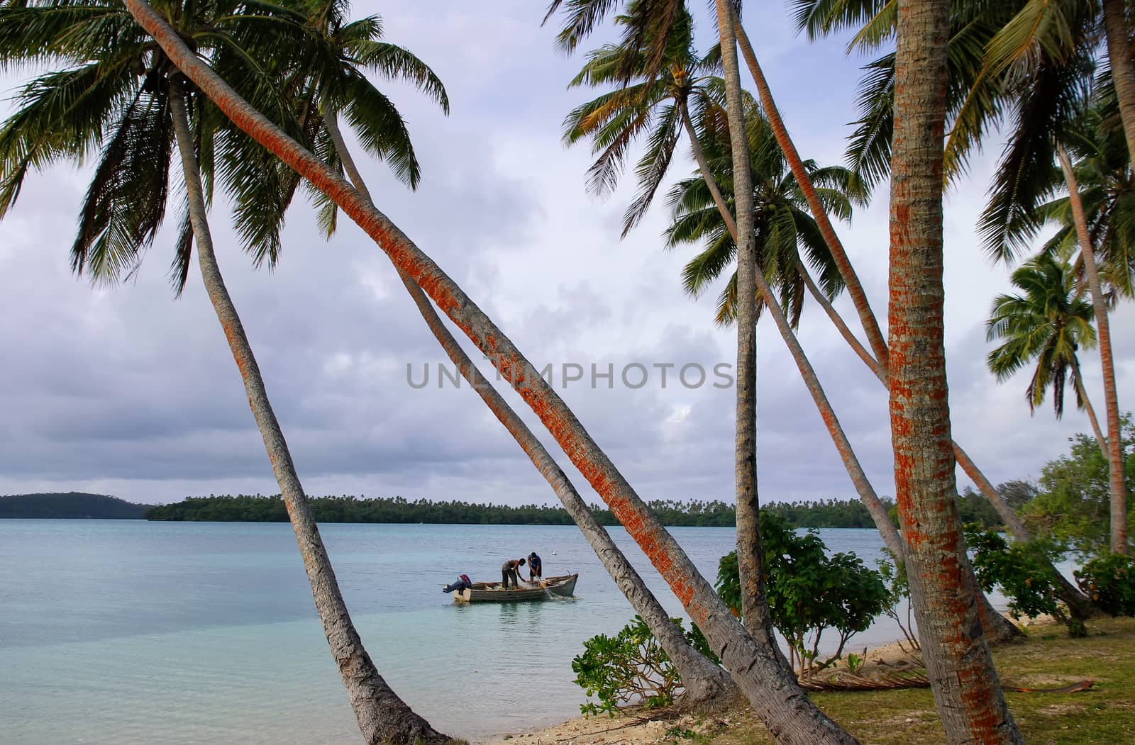 Local fishermen in a boat, Ofu island, Tonga by donya_nedomam
