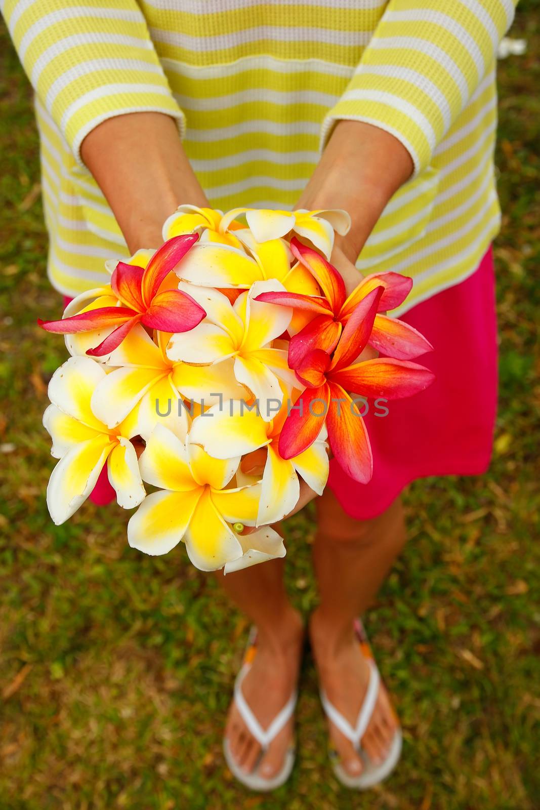 Young woman holding white and pink plumeria flowers in her hands
