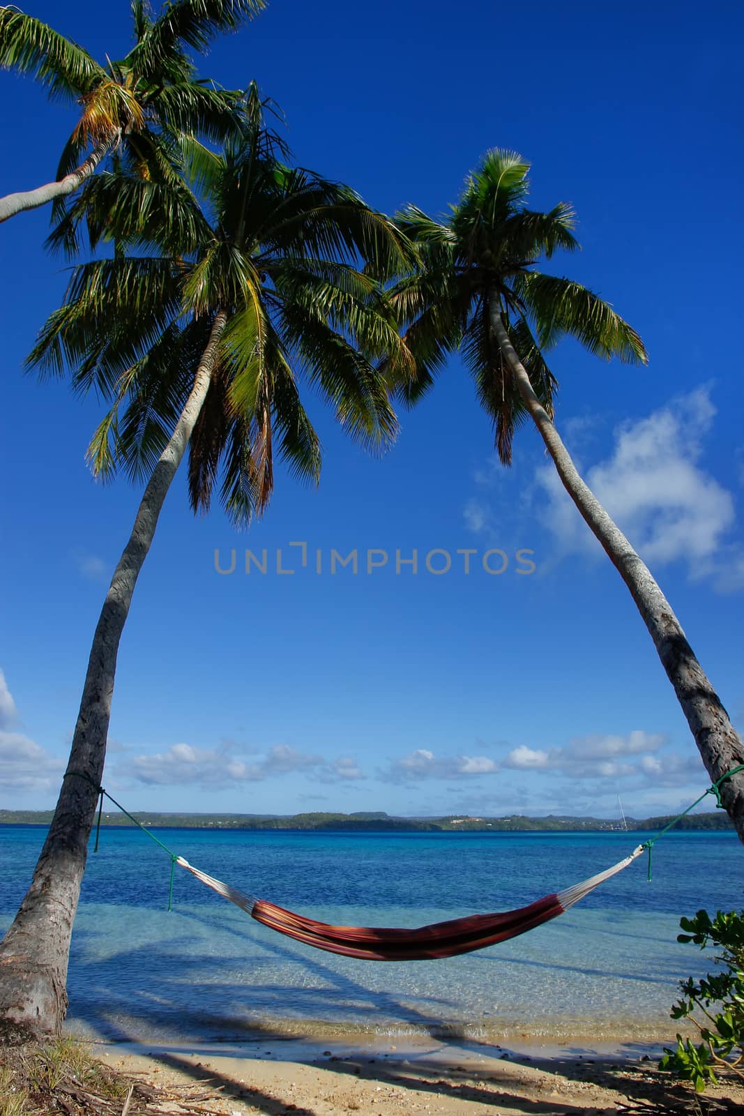 Colorful hammock between palm trees, Ofu island, Vavau group, Tonga