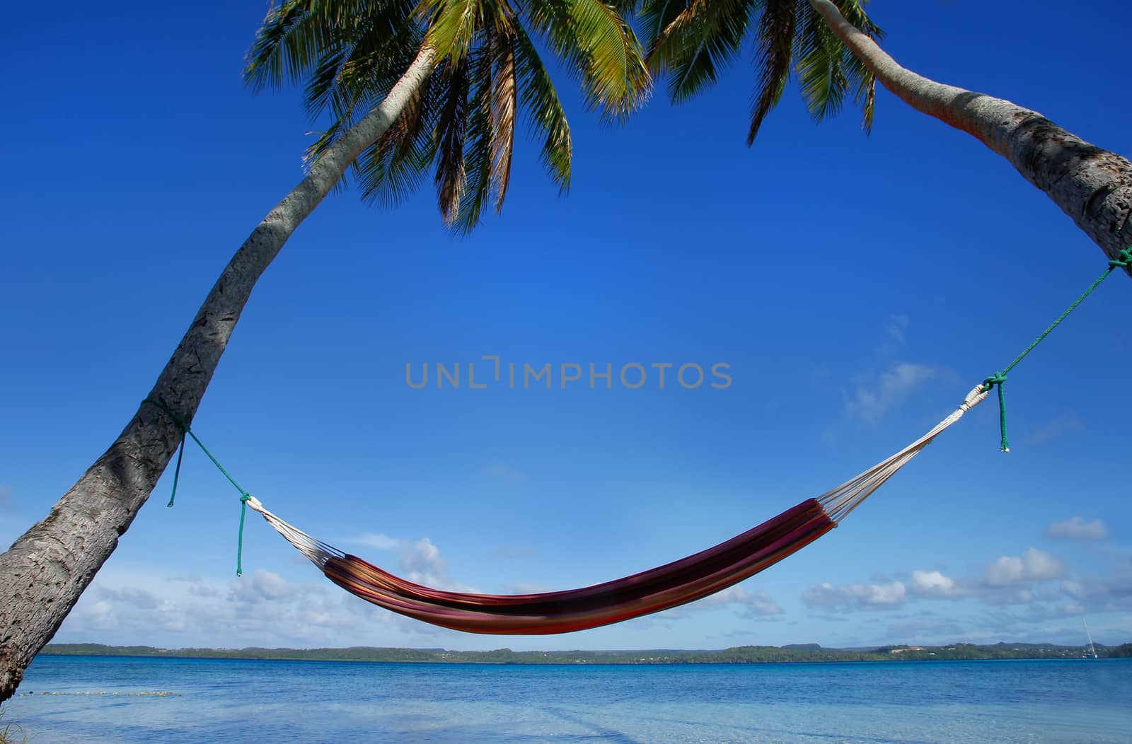 Colorful hammock between palm trees, Ofu island, Vavau group, To by donya_nedomam