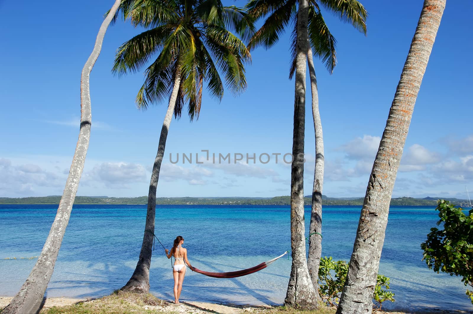 Young woman in bikini standing by the hammock between palm trees, Ofu island, Vavau group, Tonga