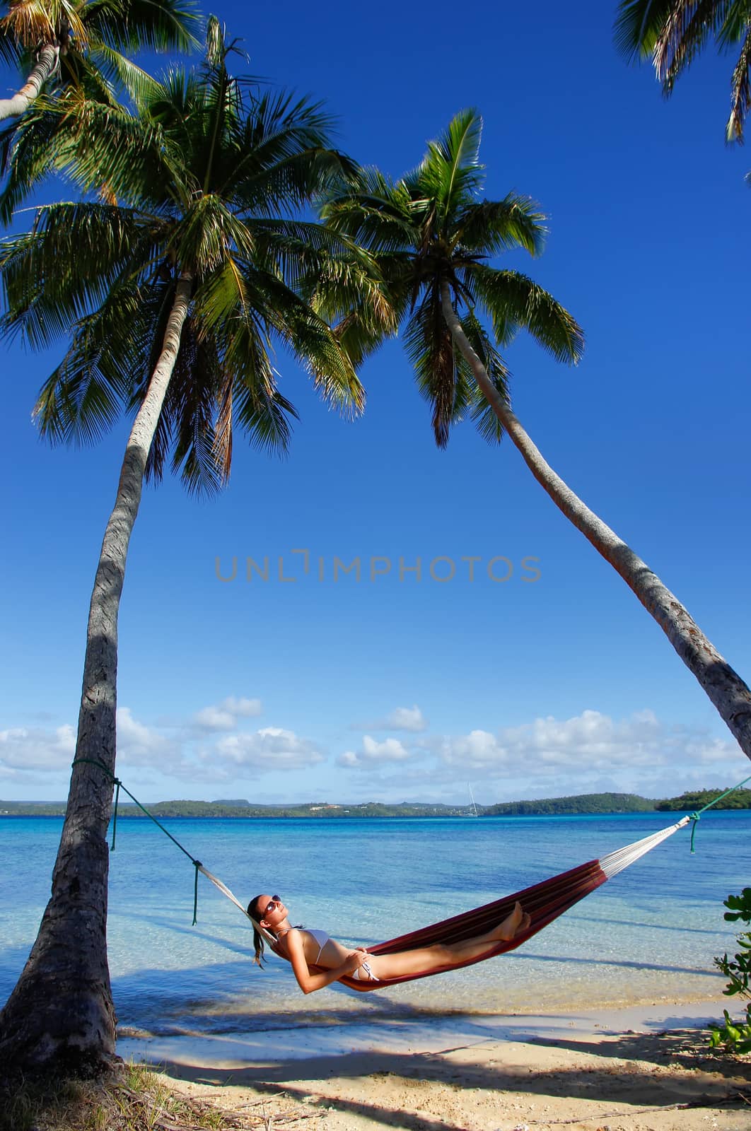 Young woman in bikini laying in a hammock between palm trees, Ofu island, Vavau group, Tonga