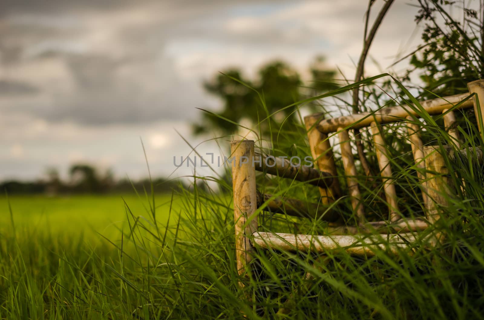 Bamboo wooden chairs on grass field in countryside Thailand