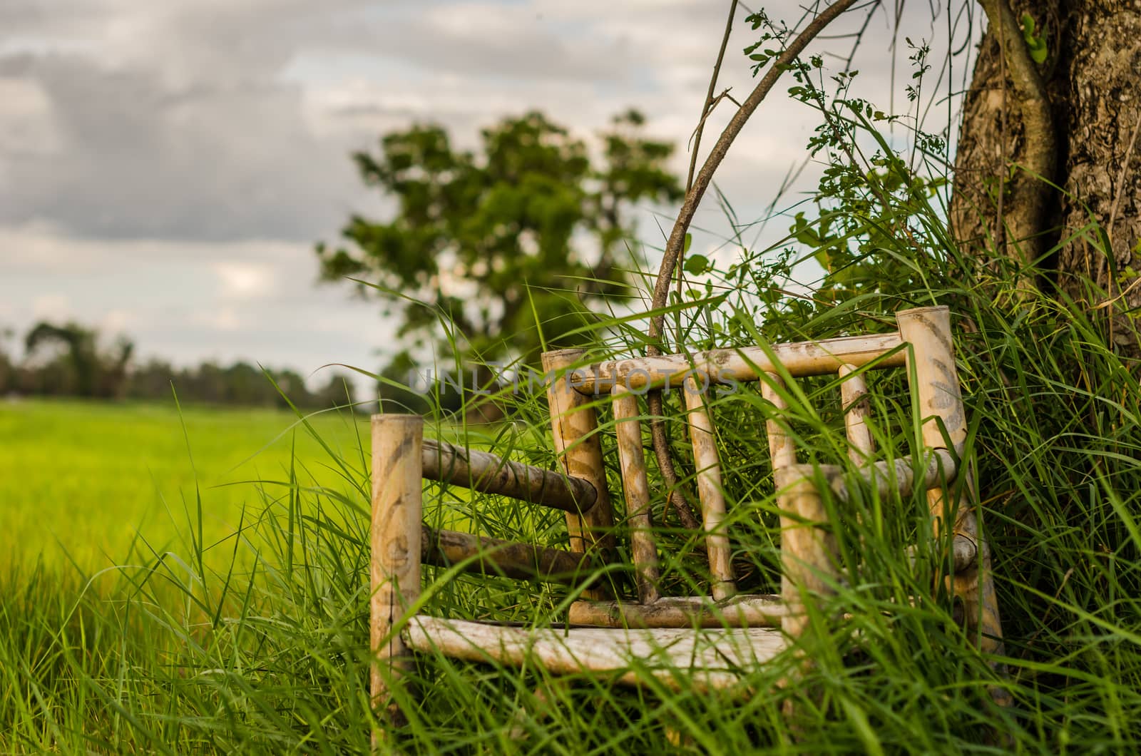 Bamboo wooden chairs on grass field in countryside Thailand