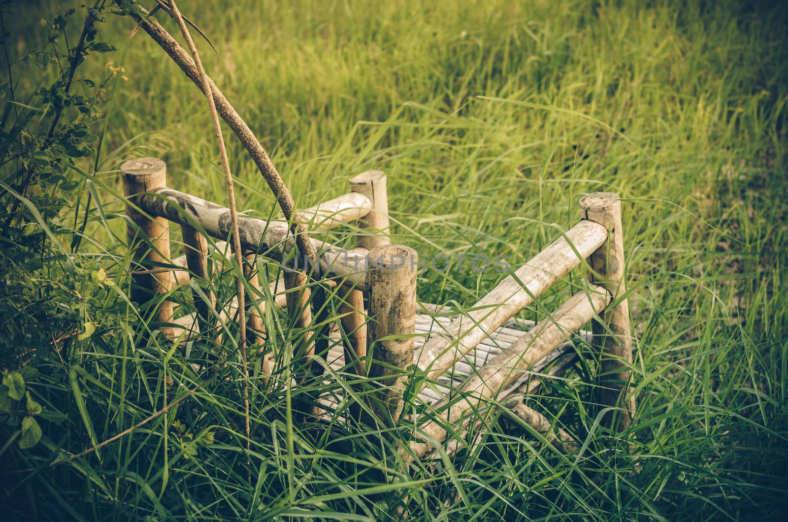 Bamboo wooden chairs on grass vintage by sweetcrisis